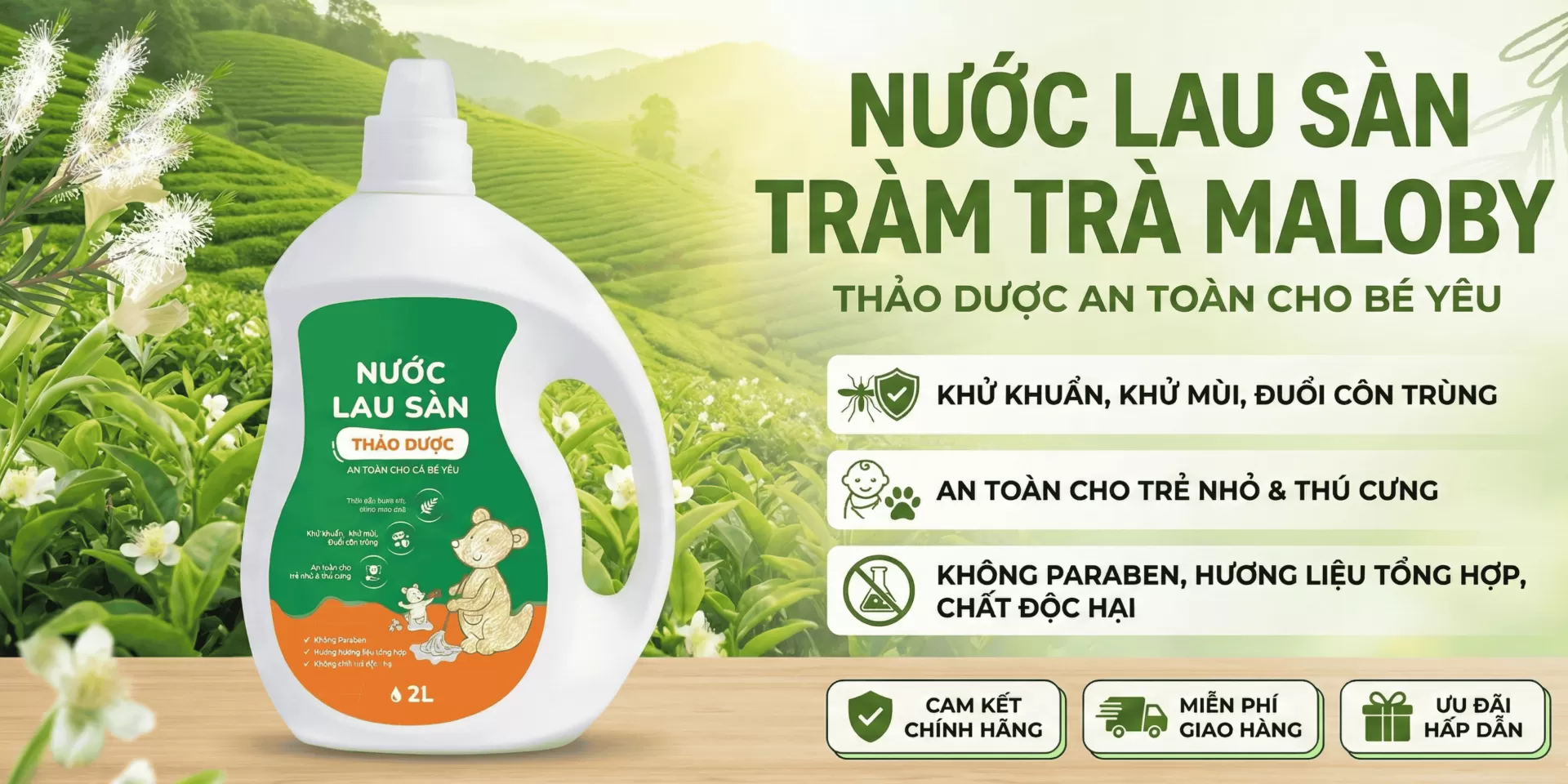 Nước lau sàn tràm trà