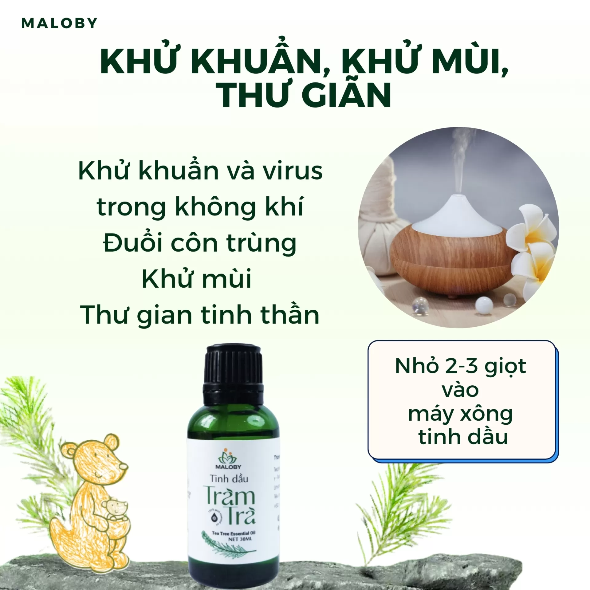 Tinh Dầu Tràm Trà Maloby