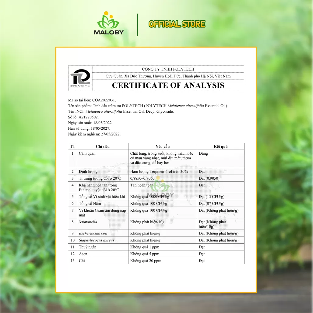 Nước Rửa bát Tràm Trà Maloby