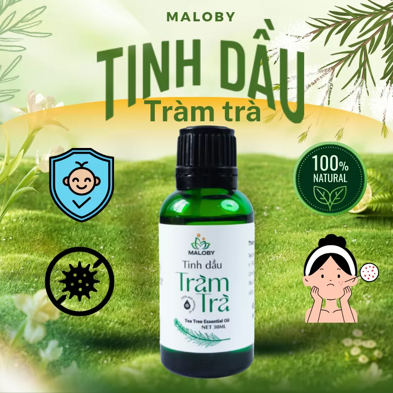 Tinh Dầu Tràm Trà Maloby